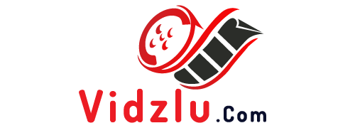 vidzlu-logo